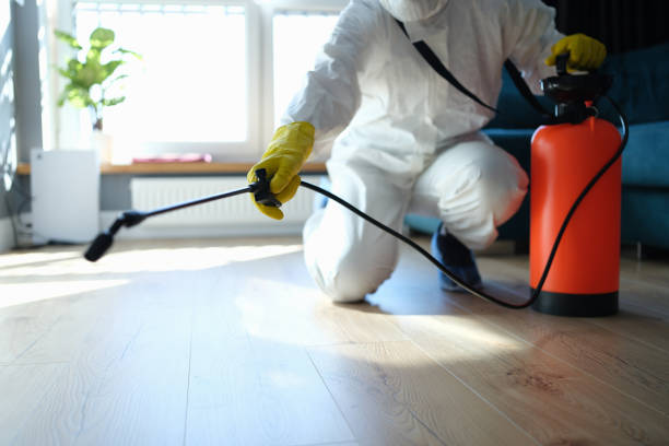 Reliable Biohazard contractor in Florida, FL by One Touch Bio Cleaning
